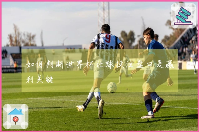 如何判断世界杯让球投注盘口是赢利关键