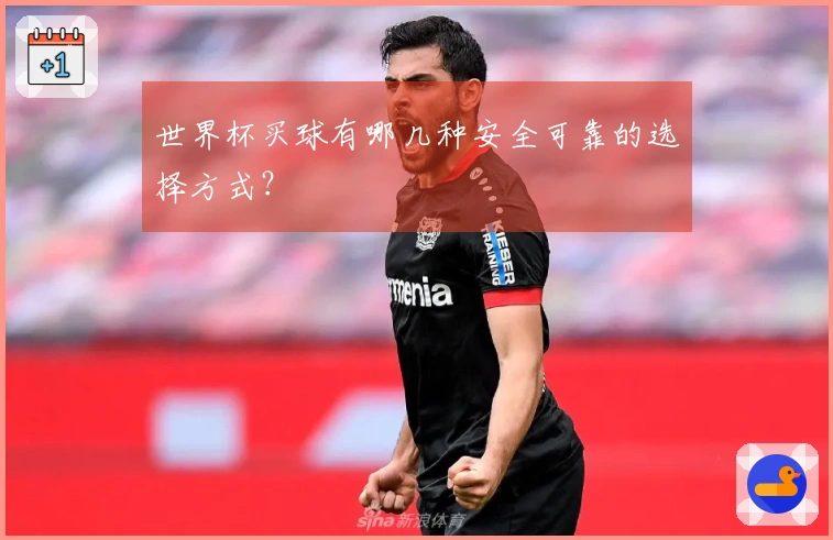 世界杯买球有哪几种安全可靠的选择方式？