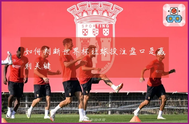 如何判断世界杯让球投注盘口是赢利关键